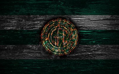Guarani FC, fire logo, Serie B, green and white lines, brazilian football club, grunge, football, soccer, Guarani logo, wooden texture, Brazil