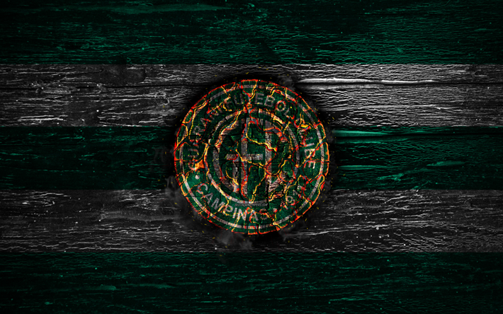 Guarani FC, fuoco, logo, Serie B, verde e linee bianche, brazilian football club, grunge, calcio, calcio Guarani logo, di legno, texture, Brasile