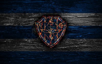 Paysandu FC, fuoco, logo, Serie B, blu e bianco a righe, brazilian football club, grunge, calcio, Paysandu logo, di legno, texture, Brasile