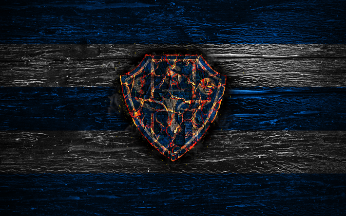 Paysandu FC, fire logo, Serie B, blue and white lines, brazilian football club, grunge, football, soccer, Paysandu logo, wooden texture, Brazil