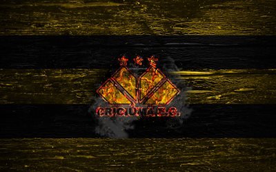 Criciuma FC, yangın logo, Seri B, sarı ve siyah &#231;izgiler, Brezilyalı Futbol Kul&#252;b&#252;, grunge, futbol, Criciuma logo, ahşap doku, Brezilya