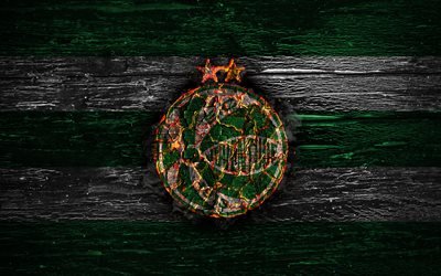 Juventude FC, fire logo, Serie B, green and white lines, brazilian football club, grunge, football, soccer, Juventude logo, wooden texture, Brazil