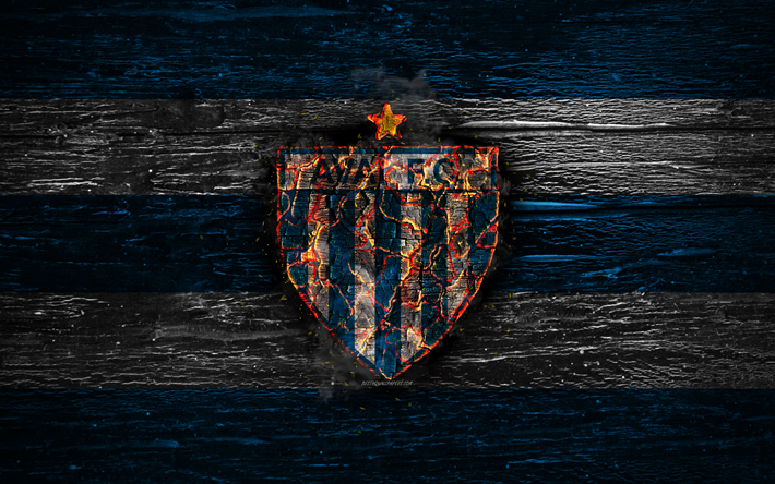 Avai FC, fuoco, logo, Serie B, blu e bianco a righe, brazilian football club, grunge, calcio, calcio Avai logo, di legno, texture, Brasile