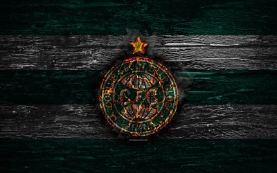 Coritiba FC, fire logo, Serie B, green and white lines, brazilian football club, grunge, football, soccer, Coritiba logo, wooden texture, Brazil