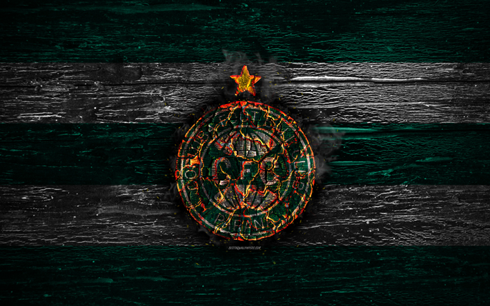 Coritiba FC, fire logo, Serie B, green and white lines, brazilian football club, grunge, football, soccer, Coritiba logo, wooden texture, Brazil