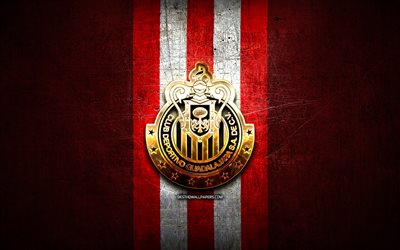 Guadalajara FC, altın logo, Lig MX, kırmızı metal arka plan, futbol, CD Guadalajara, Meksika Futbol Kul&#252;b&#252;, Guadalajara logo, Meksika