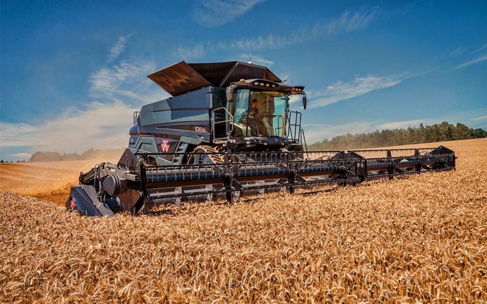 Massey Ferguson Ideal 9T, wheat harvesting, 2019 combines, combine, black combine, combine-harvester, agricultural machinery, Massey Ferguson