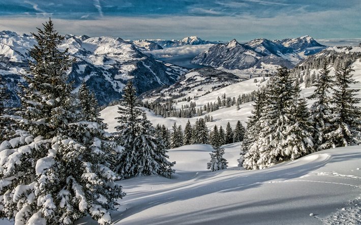 アルプス, 冬, 山々, 美しい自然, スイス, 雪の森, 欧州