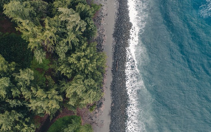 oceano, costa, veduta aerea, alberi, vista dall&#39;alto, verde di alberi