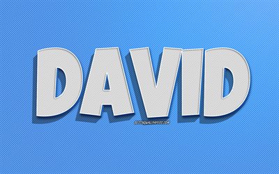 David, fond de lignes bleues, fonds d&#39;&#233;cran avec des noms, nom de David, noms masculins, carte de voeux David, dessin au trait, photo avec le nom de David