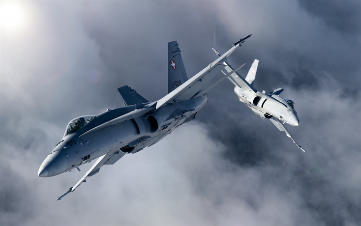 FA-18C, McDonnell Douglas FA-18 Hornet, Svizzera, Swiss Air Force, aerei da combattimento, i combattenti Americani, aerei militari