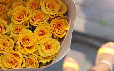 rosas amarelas, luxuoso bouquet, belas flores amarelas, rosas