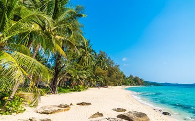 tropical island, beach, tourists, ocean, waves, coast, sea, seascape, summer puteshestviya, palm trees