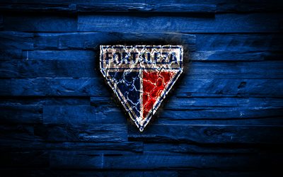 Fortaleza FC, masterizzazione logo, Serie A, blu sfondo di legno, brazilian football club, grunge, Fortaleza, CE, calcio, logo, texture del fuoco, Brasile