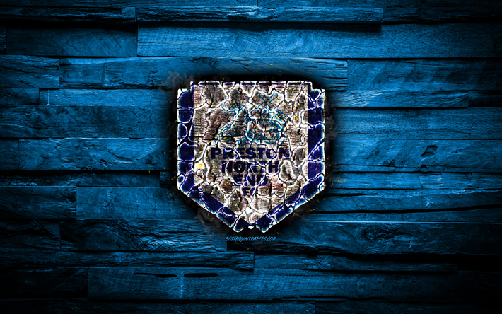 Preston North End FC, de madeira azul de fundo, Inglaterra, grava&#231;&#227;o de logotipo, Campeonato, clube de futebol ingl&#234;s, grunge, Preston North End logotipo, futebol, textura de madeira