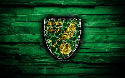 Norwich City FC, yeşil ahşap arka plan, İngiltere, yanan logo, Şampiyonluk, İngiliz Futbol Kul&#252;b&#252;, grunge, Norwich City logo, futbol, ahşap doku