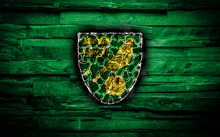 O Norwich City FC, verde de madeira de fundo, Inglaterra, grava&#231;&#227;o de logotipo, Campeonato, clube de futebol ingl&#234;s, grunge, O Norwich City logotipo, futebol, textura de madeira