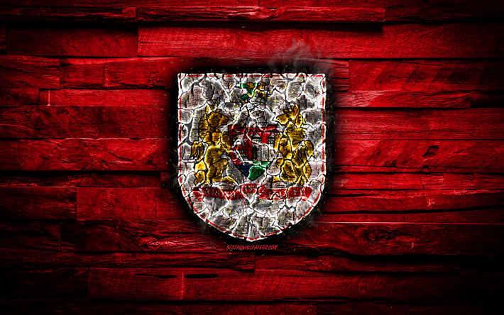 Bristol City FC, red wooden background, England, burning logo, Championship, english football club, grunge, Bristol City logo, football, soccer, wooden texture