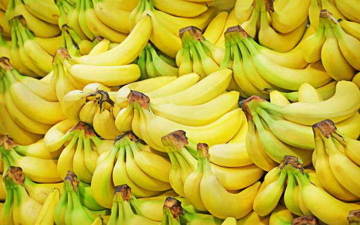 bananen-berg, 4k, obst, reife bananen, b&#252;ndel von bananen, tropische fr&#252;chte, bananen