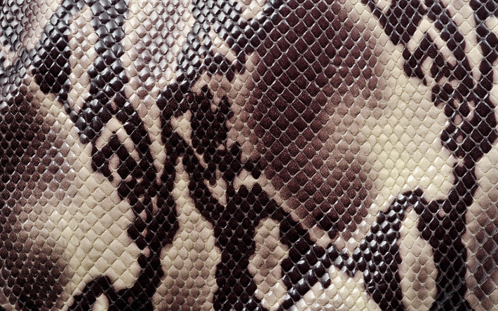 snake skin, reptil hud, orm hud texturer, brown snake, makro, l&#228;der bakgrund