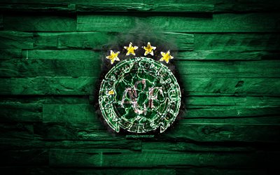 Chapecoense FC, burning logo, Seria A, green wooden background, brazilian football club, grunge, Chapecoense AF, football, soccer, Chapecoense logo, fire texture, Brazil