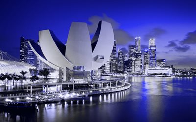 Singapur, ArtScience Museum, noche, paisaje urbano, puerto deportivo de la Bah&#237;a, de la arquitectura moderna