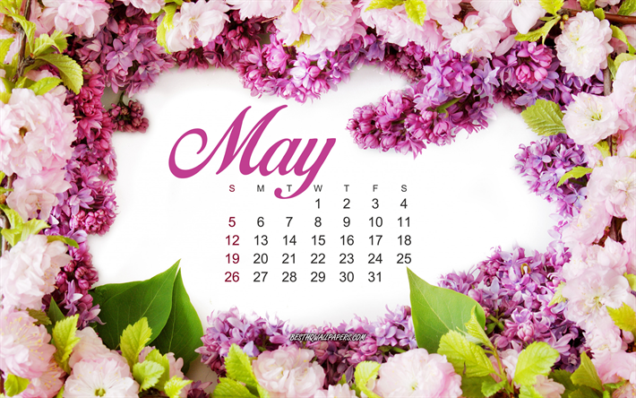 2019 May Calendar, lilac, creative art, calendar for May 2019, frame of lilac, spring, 2019 concepts, calendars