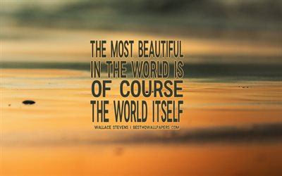 The most beautiful in the world is of course, the world itself, Wallace Stevens quotes, popular quotes, inspiration, quotes about people, seascape background, sunset