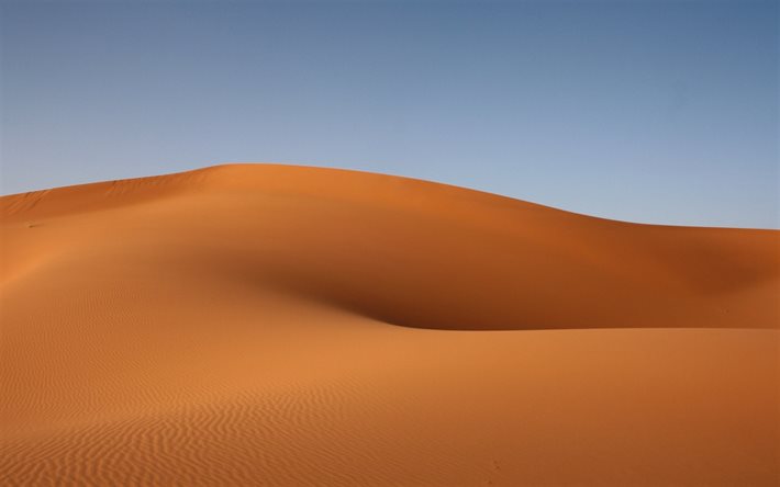 desierto, dunas de arena, tarde, puesta de sol, Sahara, &#193;frica, arena