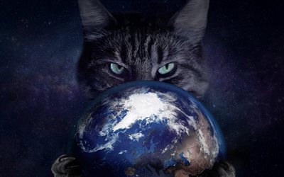 gato com a globo, criativo, Terra, obras de arte, gato, espa&#231;o, globo, gato no espa&#231;o
