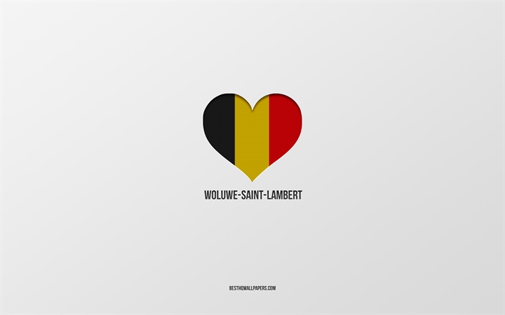 woluwe-saint-lambert i seviyorum, bel&#231;ika şehirleri, woluwe-saint-lambert g&#252;n&#252;, gri arka plan, woluwe-saint-lambert, bel&#231;ika, bel&#231;ika bayrağı kalp, favori şehirler, love woluwe-saint-lambert