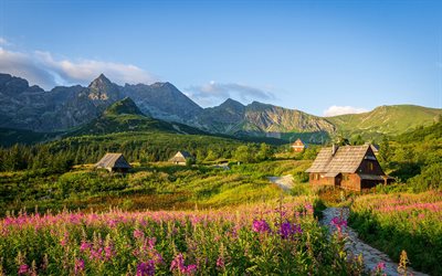Tatras, morning, sunrise, mountain landscape, Poland, Carpathians, mountain village