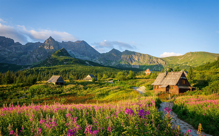 tatras, manh&#227;, nascer do sol, paisagem de montanha, pol&#244;nia, c&#225;rpatos, aldeia de montanha