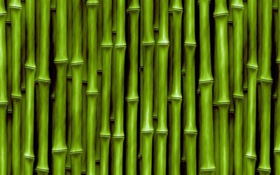 緑の竹, 竹の背景, 緑の竹の背景, 竹の質感, 竹林