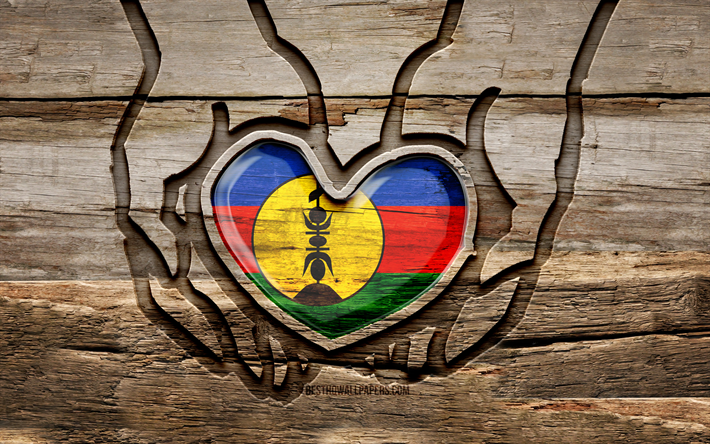 I love New Caledonia, 4K, wooden carving hands, Day of New Caledonia, New Caledonia flag, Flag of New Caledonia, Take care New Caledonia, wood carving, Oceanian countries, New Caledonia