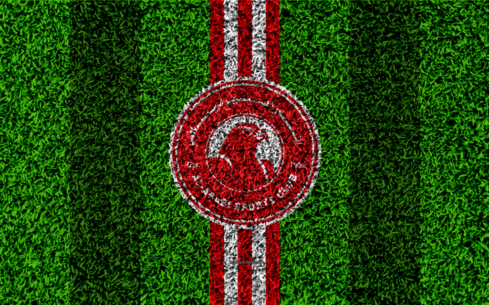 Al-Arabi SC, 4k, Qatar Jalkapallo Club, jalkapallo nurmikko, logo, punainen valkoinen linjat, ruohon rakenne, Qatar Stars League, Premier League, Doha, Qatar, K-League, jalkapallo