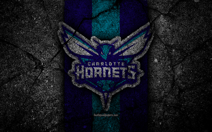 Charlotte Hornets, NBA, 4k, logotyp, svart sten, basket, Eastern Conference, asfalt konsistens, USA, kreativa, basket klubb, Charlotte Hornets logotyp