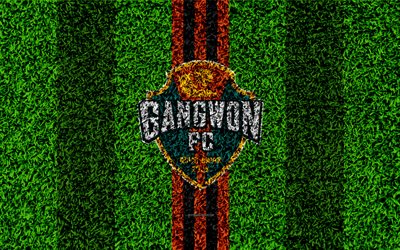 Gangwon FC, 4k, el logotipo, el c&#233;sped de textura, de corea del Sur club de f&#250;tbol, logotipo, naranja l&#237;neas de color negro, de f&#250;tbol de c&#233;sped, K de la Liga 1, Gangwon-do, Corea del Sur, el f&#250;tbol