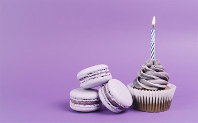 p&#250;rpura macarrones, feliz cumplea&#241;os, pastel, pastel sobre fondo p&#250;rpura, vela encendida, 1 a&#241;o de conceptos, dulces