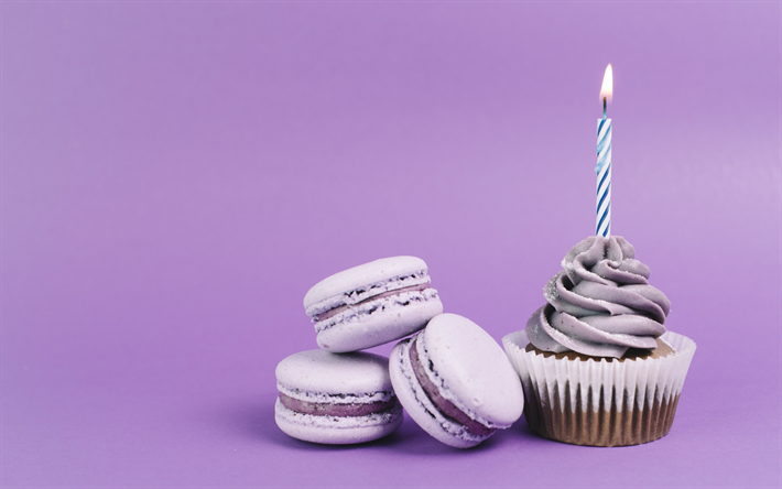 purple macaroons, happy birthday, cupcake, cake on purple background, burning candle, 1 year concepts, sweets