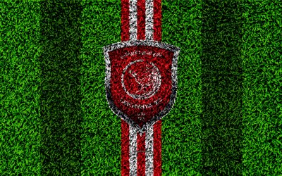 Al-Duhail SC, 4k, Qatar Football Club, football lawn, logo, red white lines, grass texture, Qatar Stars League, Premier League, Doha, Qatar, Q-League, football