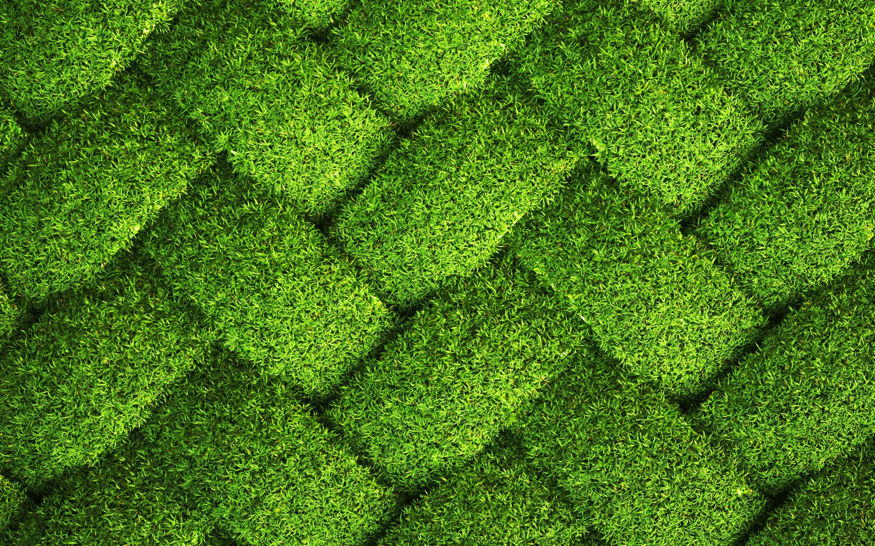 Không chỉ cung cấp những hình nền màu xanh lá cây tuyệt đẹp, chúng tôi còn có sẵn hình nền chất liệu bãi cỏ, kết cấu lưới cỏ mang lại sự trẻ trung và tươi mới cho màn hình của bạn. Chất lượng hình nền HD sẽ giúp bạn có trải nghiệm tuyệt vời nhất.