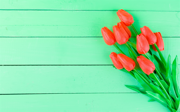 赤いチューリップ, 緑の木の背景, 花束チューリップ, 春の花, 緑の木製ボード
