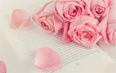 rosas cor-de-rosa, rosas, belas flores cor de rosa, p&#233;talas cor-de-rosa