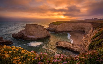 beautiful bay, cliffs, coast, evening, sunset, pink wildflowers, luxurious seascape, panorama