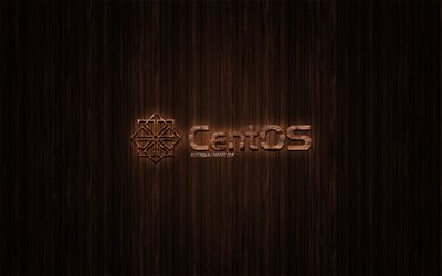 CentOS logo, wooden logo, wooden background, CentOS, emblem, brands, wooden art