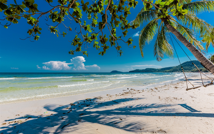 isla tropical, mar, playa, palmeras, costa, las olas, el swing en los &#225;rboles de palma