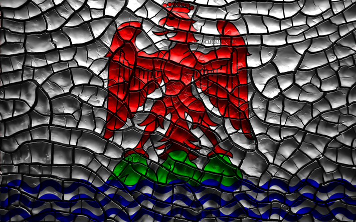 Flag of Nice, 4k, french provinces, cracked soil, France, Nice flag, 3D art, Nice, Provinces of France, administrative districts, Nice 3D flag, Europe