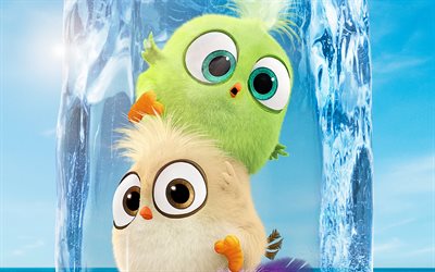 Hatchlings, 4k, The Angry Birds Movie 2, 2019 movie, 3D-animation, Angry Birds 2