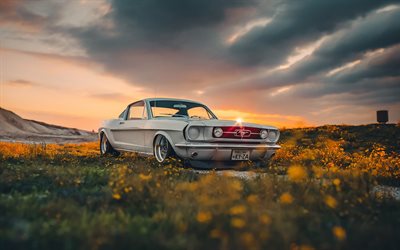 1965, ford mustang shelby gt350, noite, p&#244;r do sol, carros retr&#244;, mustang shelby 1965 tuning, carros americanos, ford